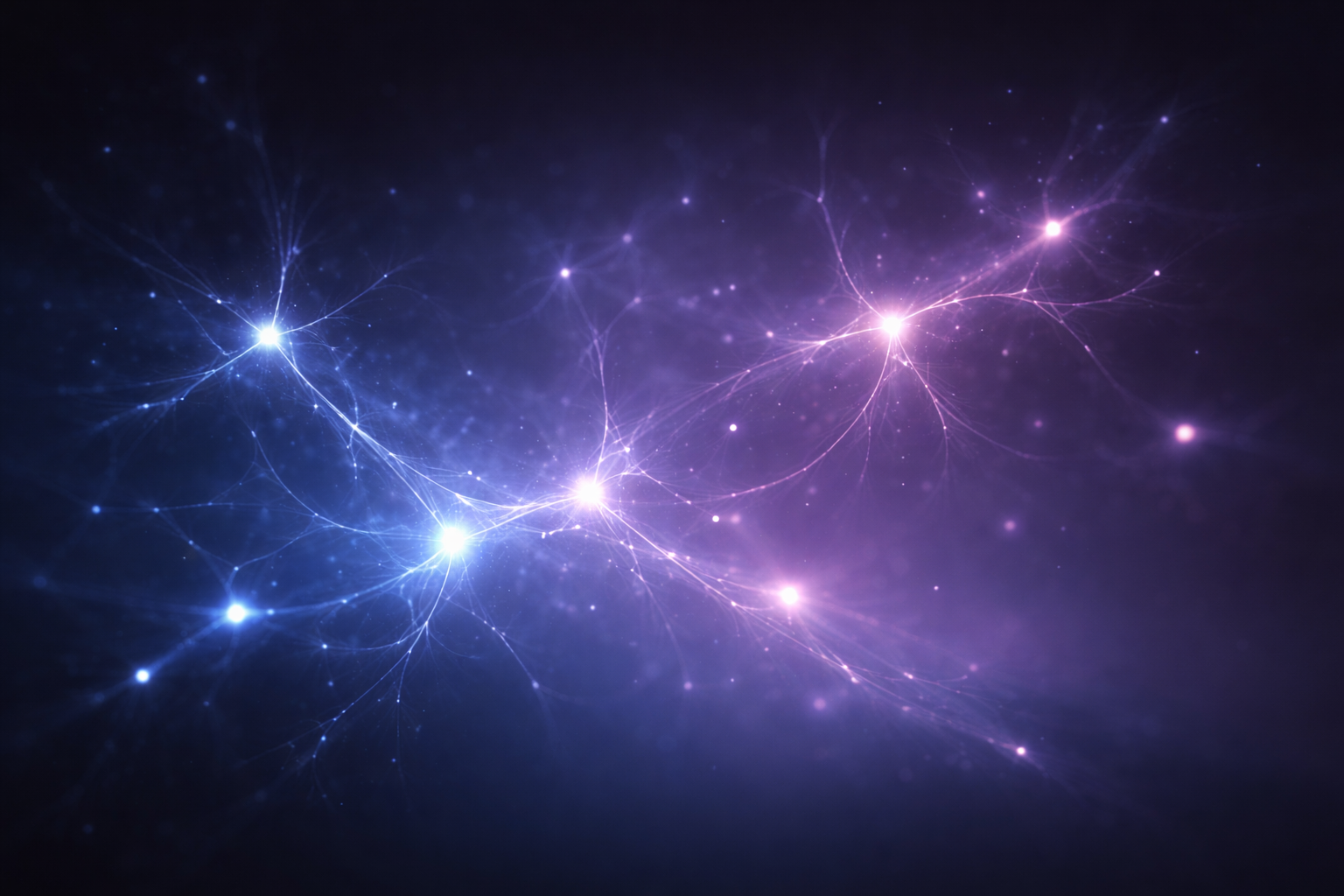 Neural network visualization during sleep